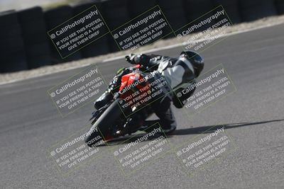 media/Oct-12-2025-CRA (Sun) [[e621380112]]/Races/Race 10/